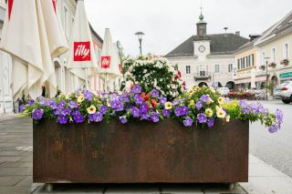 Foto Augenblick Stainz6