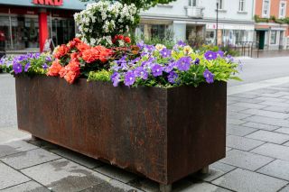 Foto Augenblick Stainz7